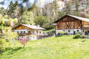 Apartment Misalt Castelrotto